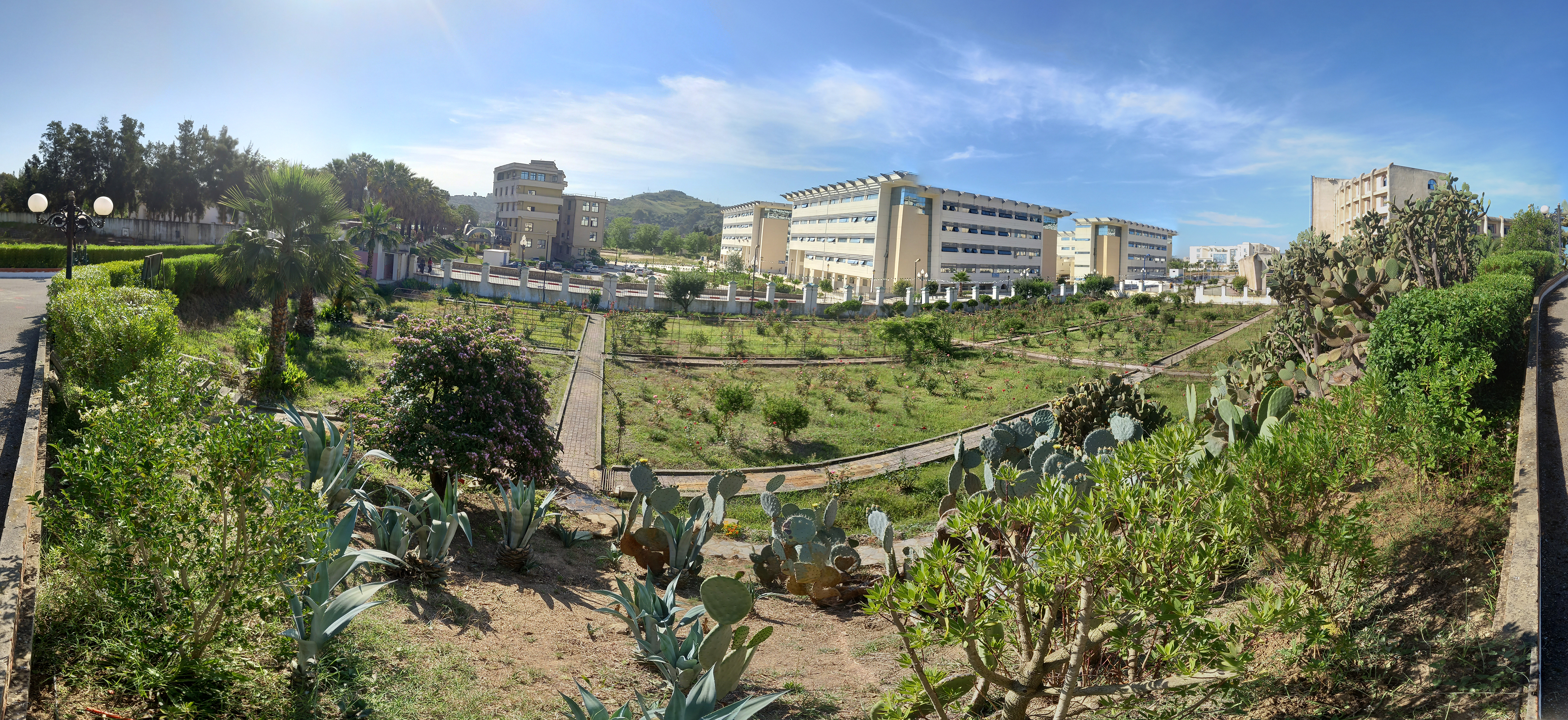 Image de l'université